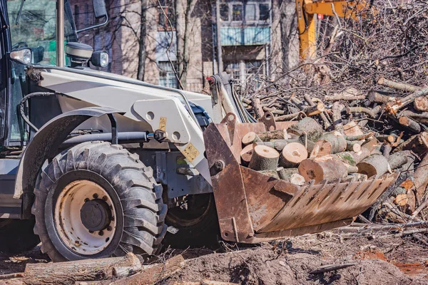 Abgesägte Teile Dicker Rundstämme Der Traktorschaufel Auf Der Baustelle — Stockfoto