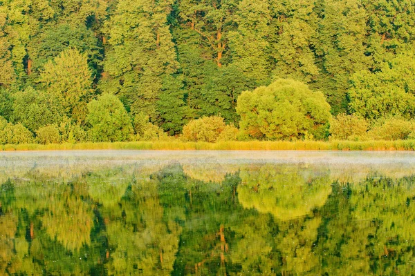 Vista Sorgere Del Sole Degli Alberi Lungo Fiume — Foto Stock