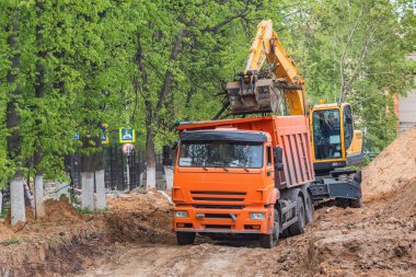 Kazıcı ağaç gövdelerinin testere parçalarını yükler.