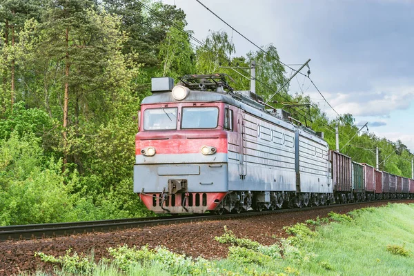 Comboio Carga Move Pela Floresta Primavera — Fotografia de Stock