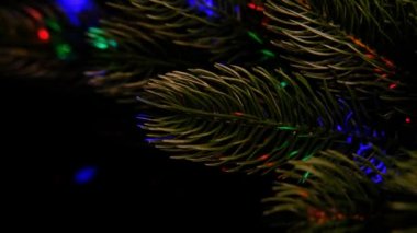 Noel ağacı dalına farklı renkte ışınlar vurgulanıyor. 4 bin. Yumuşak lazerlerle soyut renkli arka plan. Yeni yıl ve noel yayını için sihirli video, sunumlar, müzik videoları, başlıklar ve logolar ve sahne arkası görselleri.