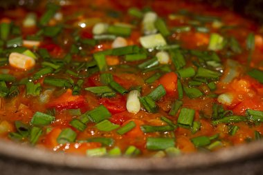 Meksika soslu salsa sosu, soğan, sarımsak, kırmızı biber, kızarmış kimyon Meksika kekik, yeşil biber ve domatesle yapılır..