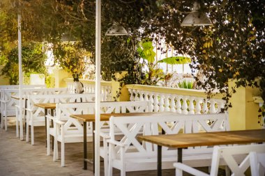 Samimi bir açık kafe. Sabahın köründe kafede kedi. Yaz. Güzel arkaplan