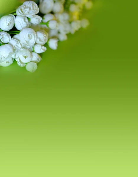 Białe delikatne kwiaty na zielonym tle gradientu. Pionowe zdjęcie. Wiosna, kwitnienie. Kartka kwiatów. Miejsce na tekst — Zdjęcie stockowe