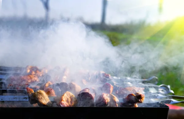 Mięso Szaszłykach Piecze Się Ogniu Mięso Dymem Grillu Nad Węglem — Zdjęcie stockowe