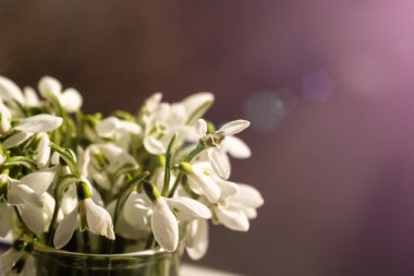 Parlak arkaplanı bulanık kar damlaları