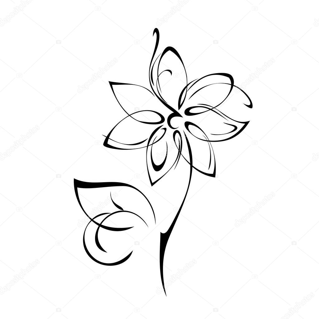 blooming flower with large petals on a stem with a leaf in black lines on a white background