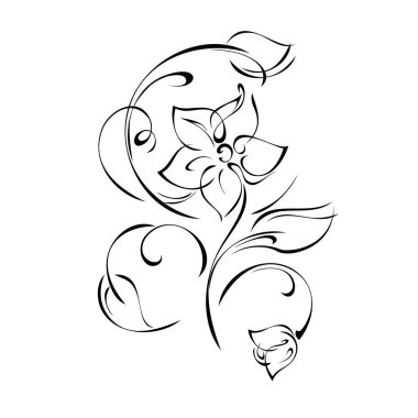Dekoratif bir element, Bud 'la birlikte bir çiçek, beyaz arkaplanda siyah çizgiler halinde yapraklar ve kıvrımlar