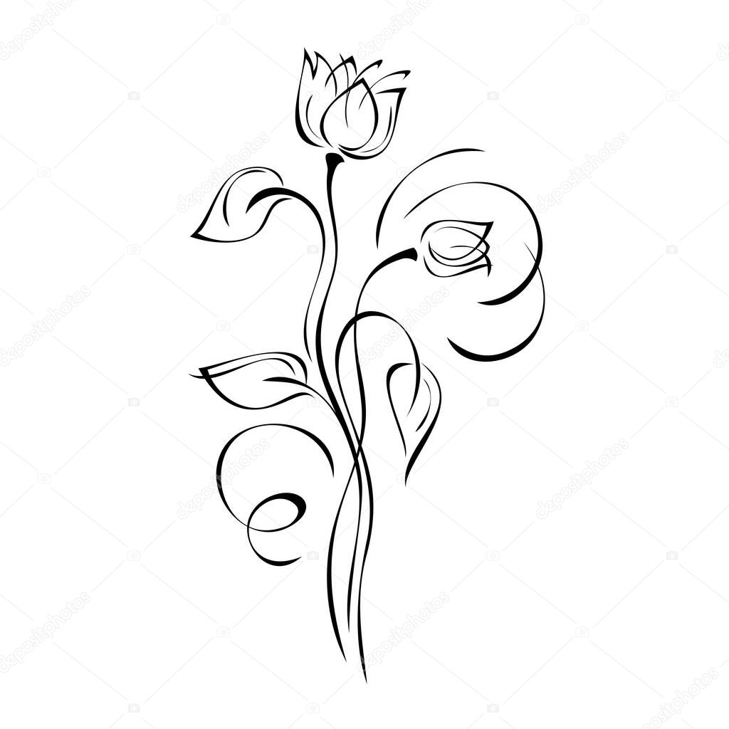 stylized flower buds on tall stems with leaves and curls in black lines on a white background