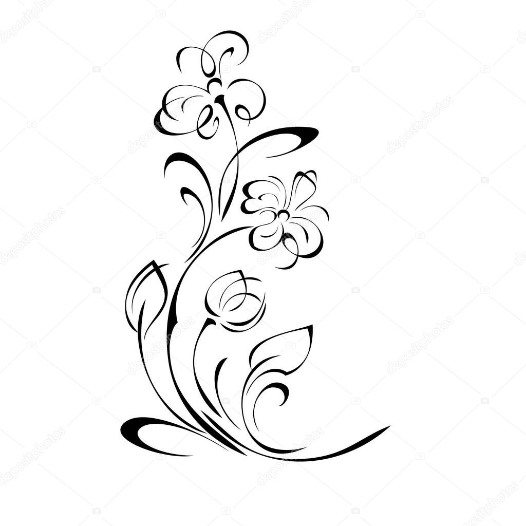 decorative element with stylized flowers, leaves and swirls in black lines on a white background