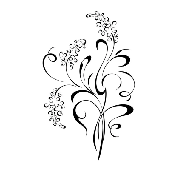 Stilisierter Strauß Aus Zweigen Mit Blumen Und Locken Schwarzen Linien — Stockvektor