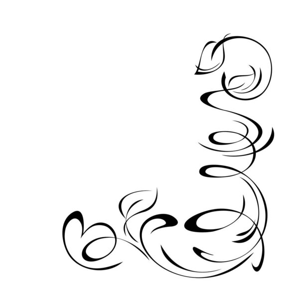 unique decorative element with curls and leaves in black lines on white background