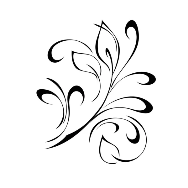 白い背景に黒い線で葉とカールが描かれたユニークなスタイルの小枝 — ストックベクタ