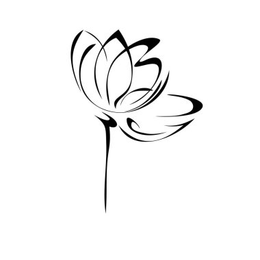 Beyaz arka planda siyah çizgilerde yaprakları olmayan, kısa bir sapta çiçek açan eşsiz bir çiçek.