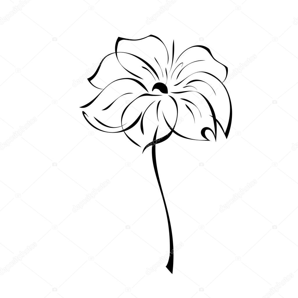 one unique stylized blooming flower on a short stalk without leaves in black lines on a white background