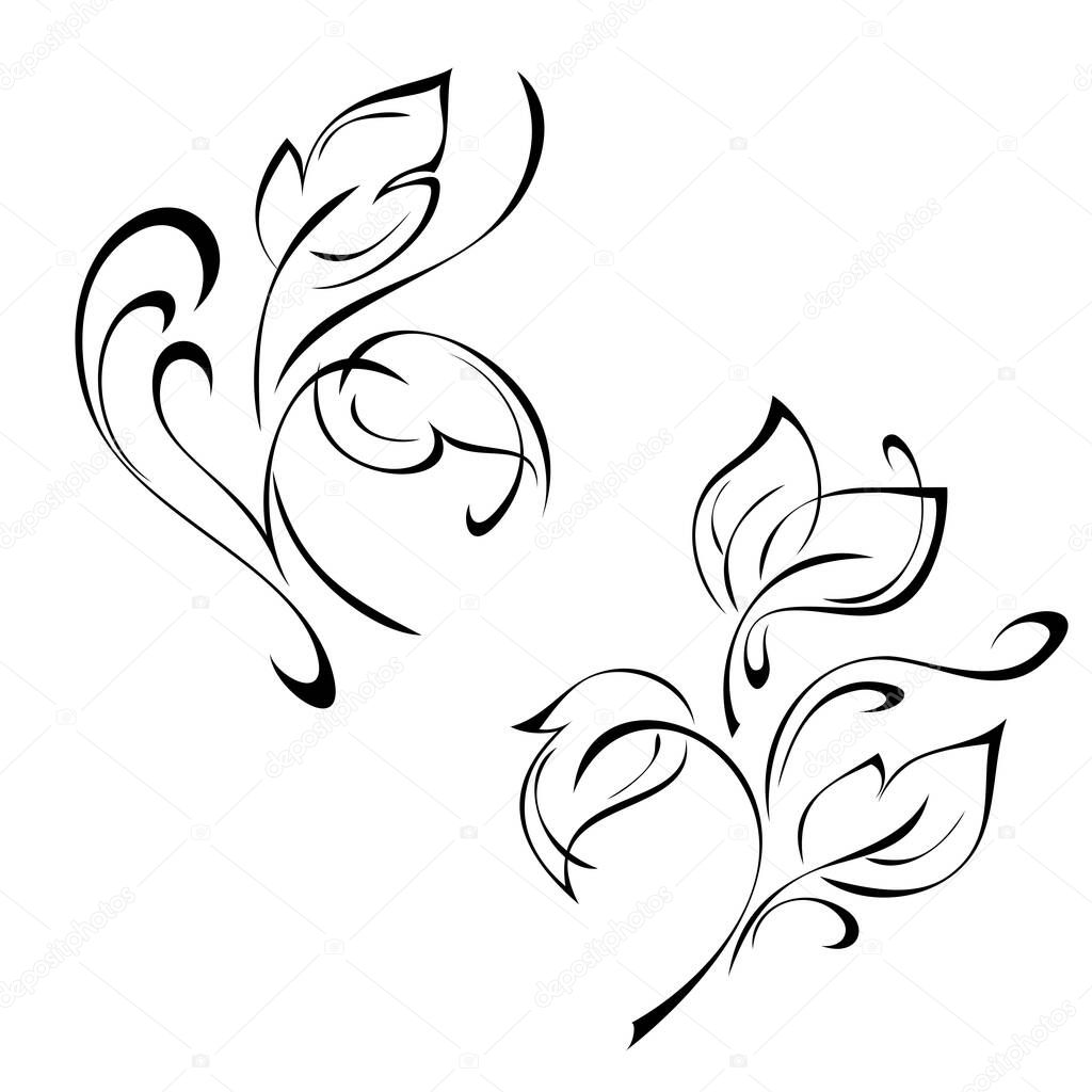 stylized twigs with leaves and curls in black lines on a white background
