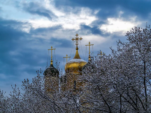 Igreja com cruzes douradas é cercada por árvores cobertas de neve . — Fotografia de Stock