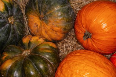 Açık hava çiftçi pazarında bir sürü balkabağı var.