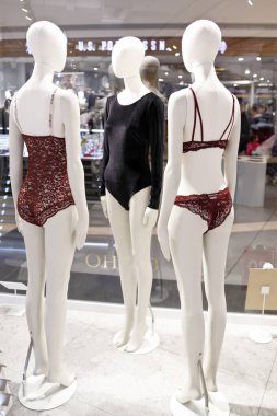 Moskova, Rusya, 11.29.2019. Mega Alışveriş Merkezi.