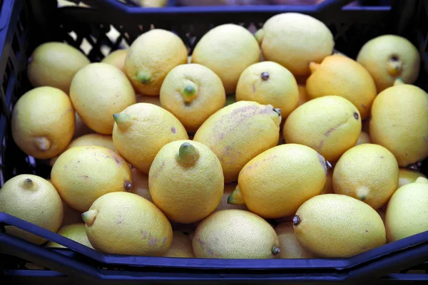 Красочный показ лимонов на рынке — стоковое фото