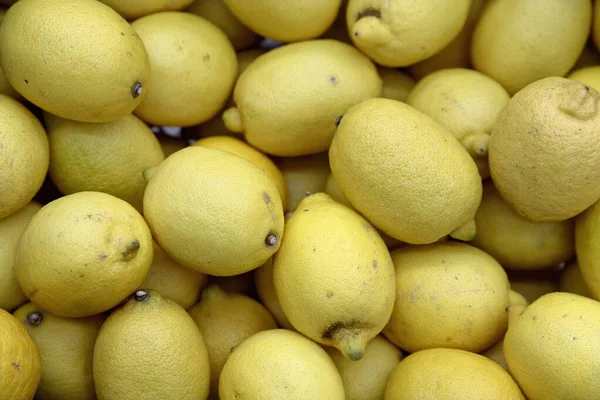 Exhibición colorida de limones en el mercado —  Fotos de Stock