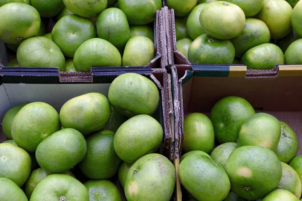 Sklizeň grapefruitů. mnoho grapefruitů. grapefruity pro potravinové textury a zázemí. Na pozadí grapefruitů. — Stock fotografie