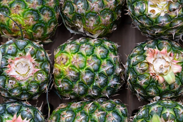 Fresh pineapple on shelves in supermarket. — Stock Photo, Image