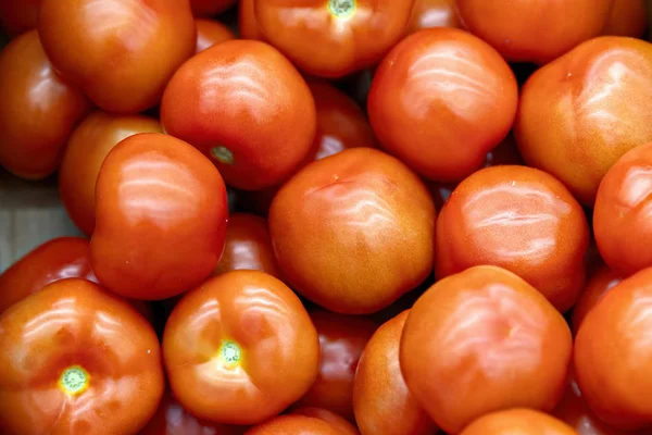 Os vegetais estão cheios de vitaminas. Tomates frescos e maduros em uma cesta em uma prateleira de supermercado — Fotografia de Stock