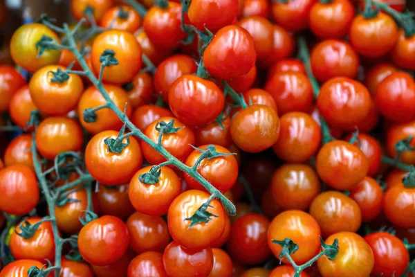 Os vegetais estão cheios de vitaminas. Tomates frescos e maduros em uma cesta em uma prateleira de supermercado — Fotografia de Stock