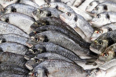 Tüketiciye Satılık balık pazarında maruz balık