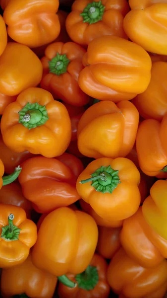 Lote de pimentos no mercado — Fotografia de Stock