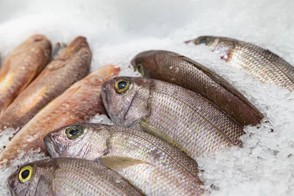 Pescado expuesto en el mercado de pescado para su venta al consumidor — Foto de Stock