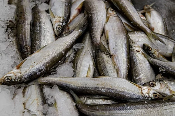 Pesce esposto nel mercato del pesce per la vendita al consumatore — Foto Stock