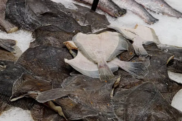 Pescado expuesto en el mercado de pescado para su venta al consumidor — Foto de Stock