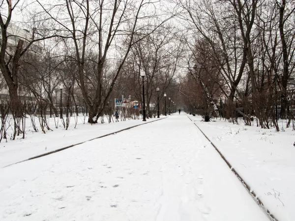 Journée d'hiver nuageuse dans le parc . — Photo