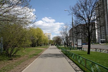 Moscow, Russia, April 15, 2019, tender green trees, warm sunny spring day on the city streets