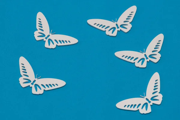 Concept Nature Spring Minimal Flatley Composition Top View White Butterflies — Stock Photo, Image