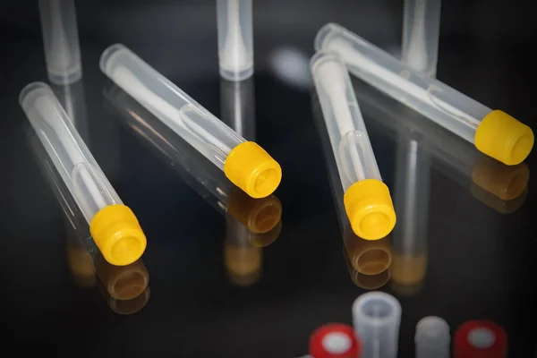 Tubos Ensaio Num Ensaio Num Laboratório Investigação Uma Fotografia Simbólica — Fotografia de Stock