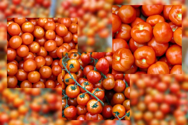 Kollage Röda Mogna Tomater Olika Former Suddig Bakgrund Livsmedelsbutik Grönsaker — Stockfoto