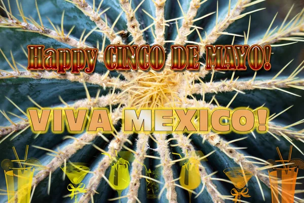 Banner Cinco Mayo Med Konsistensen Kaktusen Festivalen För Mexikansk Kultur — Stockfoto