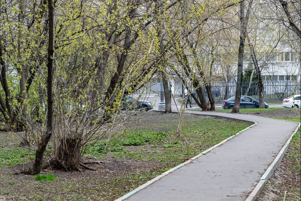 Пустой Беговой Дорожки Городе Среди Весенней Зелени Деревьев Кустарников Люди — стоковое фото