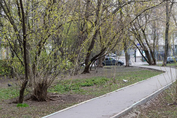 Şehirde Boş Bir Koşu Bandı Ağaçların Çalıların Arasında Kendini Izole — Stok fotoğraf