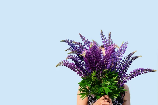 Large Bouquet Flowers Held Hands Girl Purple Lupines Blue Background — Stock Photo, Image