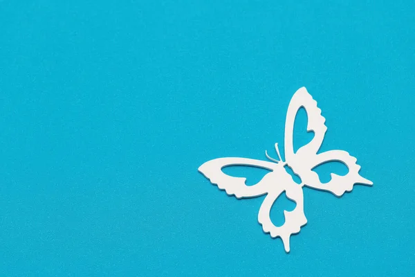 Minimal Flatley Composition Top View White Butterflies Blue Background Creative — Stock Photo, Image