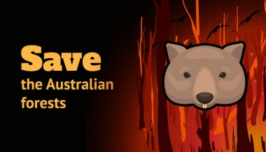 Banner with a burning forest, wombat and the inscription Save the Australian Forests. Cartoon vector illustration
