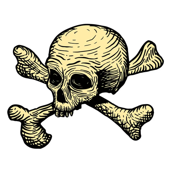 Desenho à mão de um crânio de um homem morto, com ossos, sobre um fundo branco. ilustração vetorial — Vetor de Stock