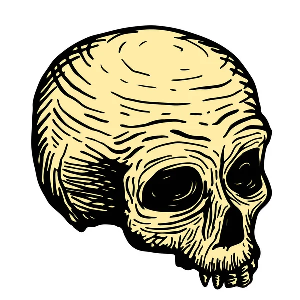 Desenho à mão de um crânio de um homem morto, preto sobre um fundo branco. ilustração vetorial —  Vetores de Stock
