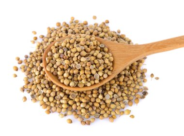 Beyaz arka plan üzerinde kişniş tohumu