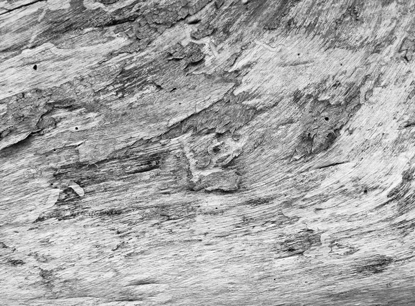 Taş arkaplan dokusu — Stok fotoğraf