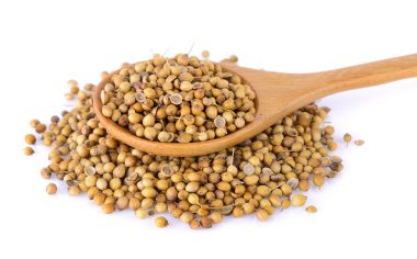 Beyaz arka plan üzerinde kişniş tohumu